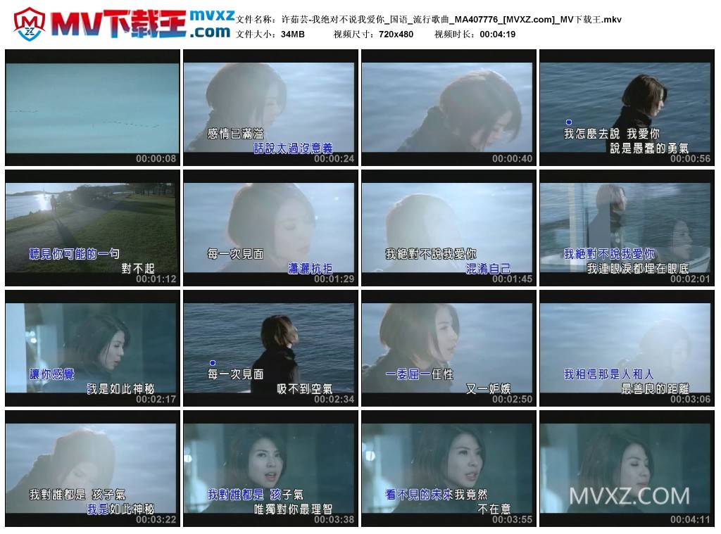 许茹芸-我绝对不说我爱你_国语_流行歌曲_MA407776